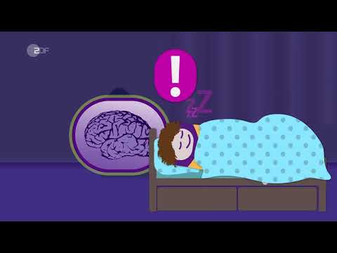 Warum Kinder viel Schlaf brauchen  - ZDFtivi